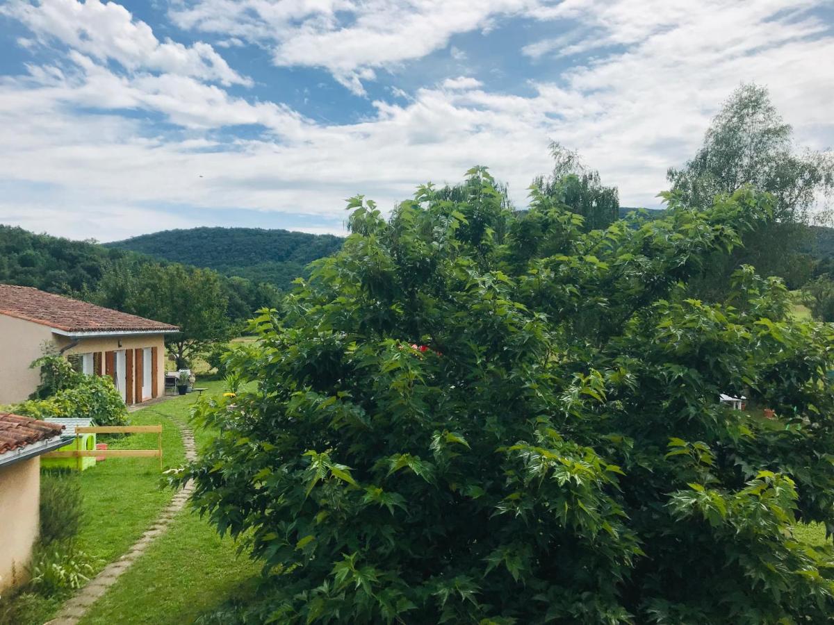 Maison tranquillité Montegut-Plantaurel Esterno foto